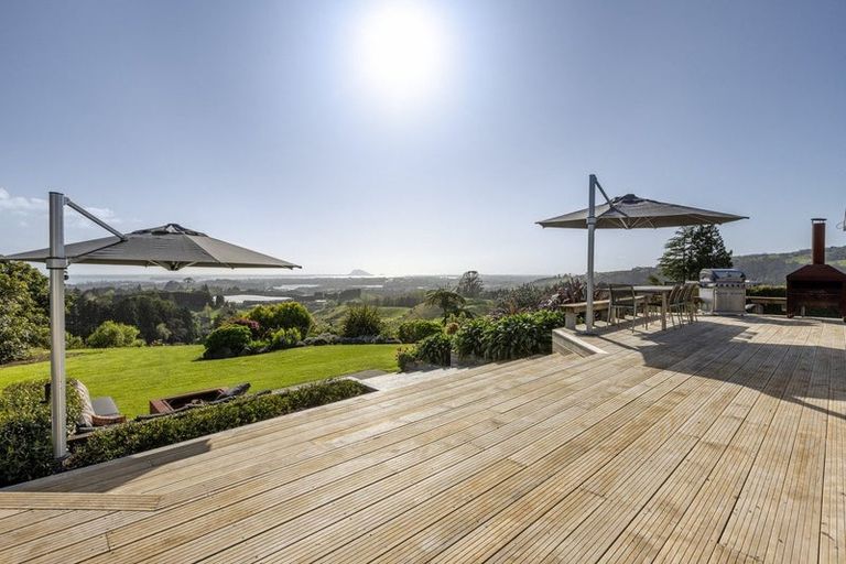 Photo of property in 252 Whakamarama Road, Whakamarama, Tauranga, 3179