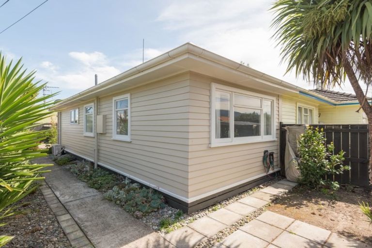 Photo of property in 19 Elizabeth Street, Richmond, 7020