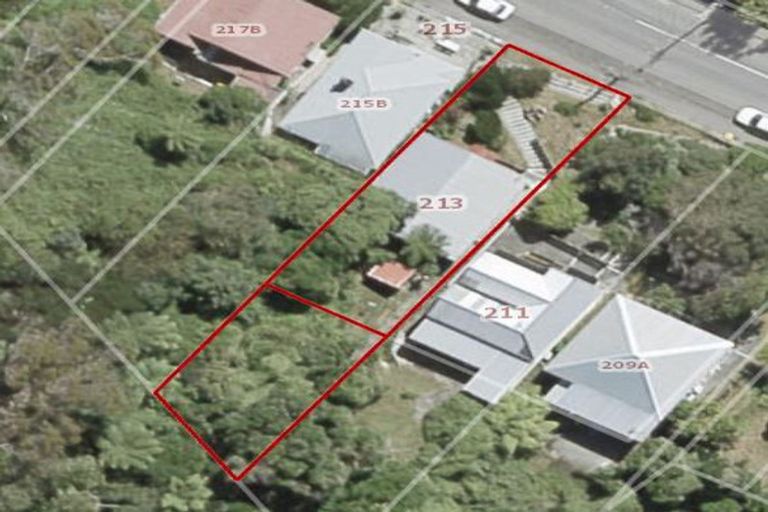 Photo of property in 213 Aro Street, Aro Valley, Wellington, 6021