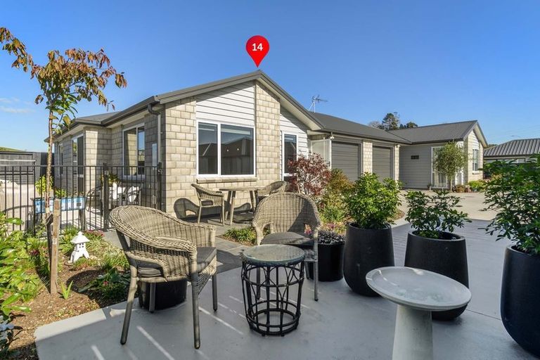 Photo of property in 14 Foley Grove, Pyes Pa, Tauranga, 3110