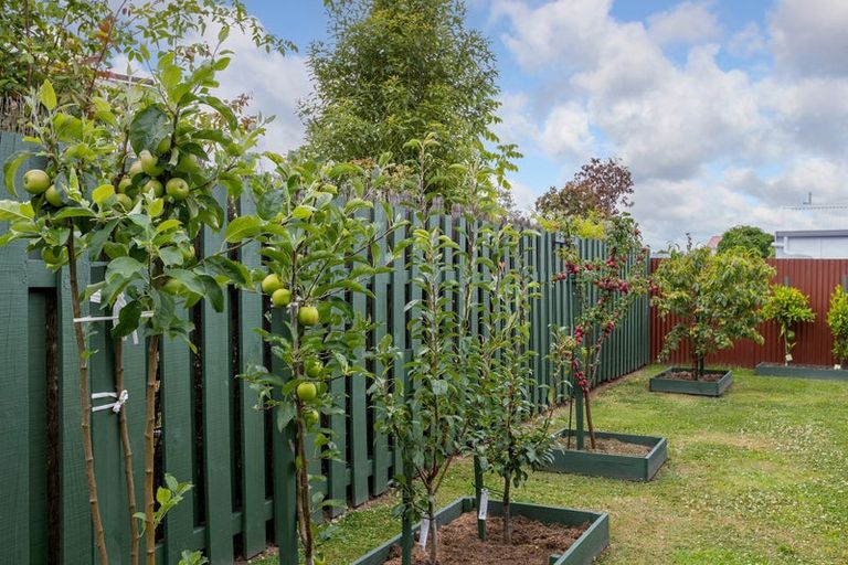 Photo of property in 4 Chamberlain Road, Masterton, 5810