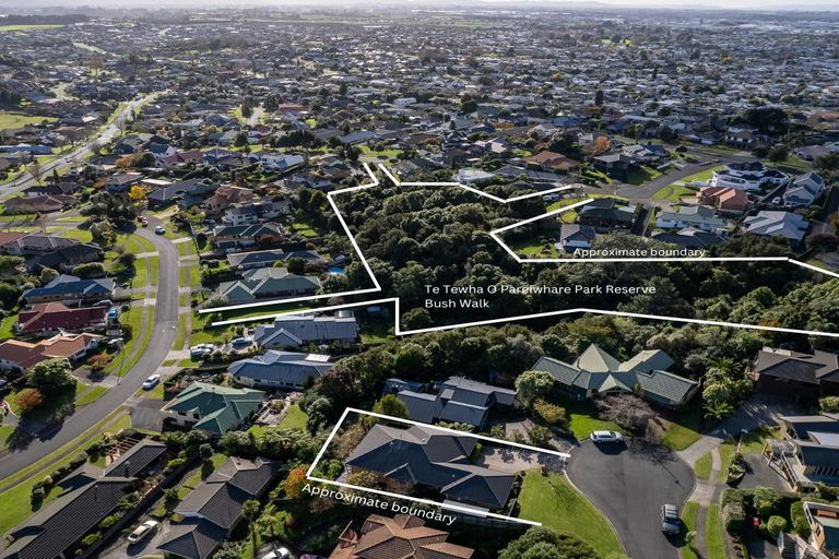 Photo of property in 15 Tironui Terrace, Western Heights, Hamilton, 3200