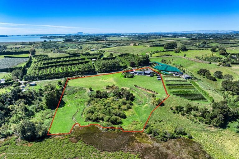 Photo of property in 175 Stewart Road, Whakamarama, Katikati, 3181