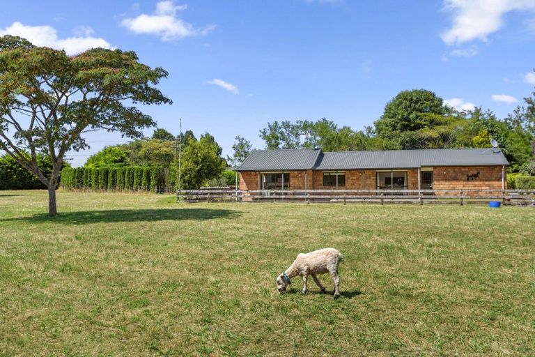 Photo of property in 11a Higginson Road, Ngahinapouri, Hamilton, 3290