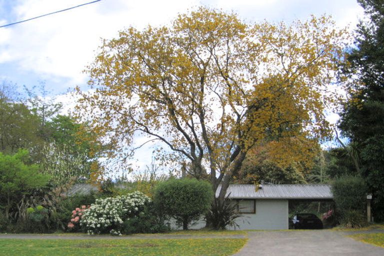 Photo of property in 33 Hinekura Avenue, Taupo, 3330