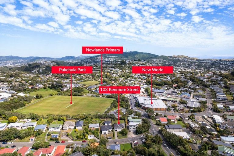 Photo of property in 103 Kenmore Street, Newlands, Wellington, 6037