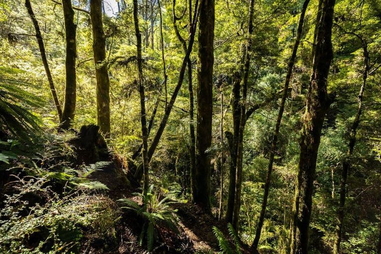 Photo of property in 288 Matiri Valley Road, Matiri, Murchison, 7077