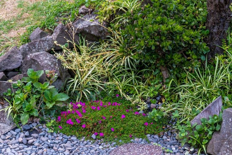 Photo of property in 8 Chardon Place, Henderson, Auckland, 0612