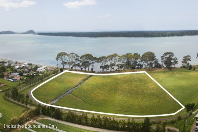 Photo of property in 50a Esplanade Road, Tahawai, Katikati, 3170