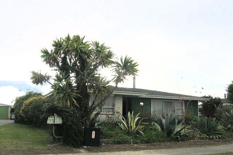 Photo of property in 57 Rochester Street, Tamatea, Napier, 4112