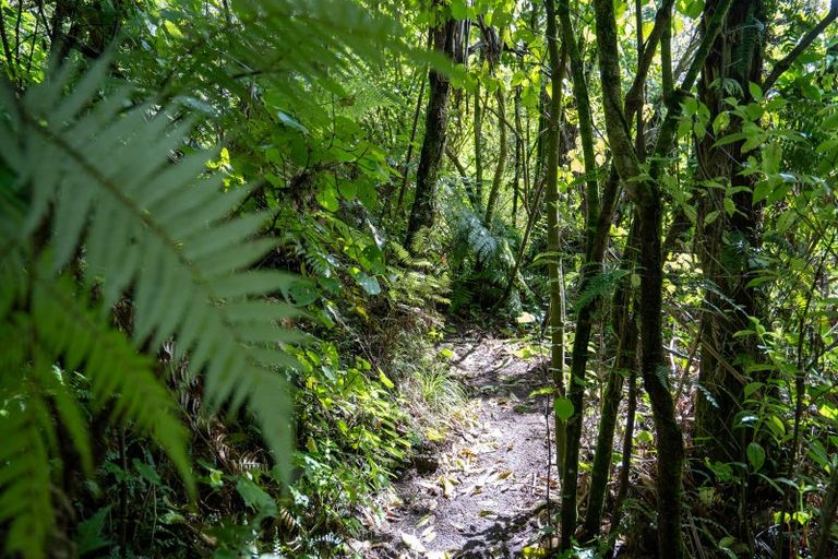 Photo of property in 124 Rangatira Road, Karapiro, Cambridge, 3494