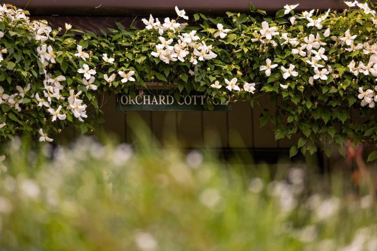 Photo of property in 556 Speargrass Flat Road, Lake Hayes, Queenstown, 9371