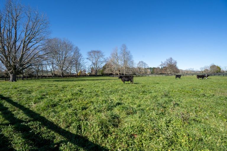 Photo of property in 146 French Pass Road, Cambridge, 3496