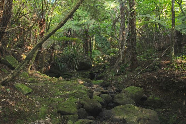 Photo of property in 39 Whaanga Road, Raglan, 3297