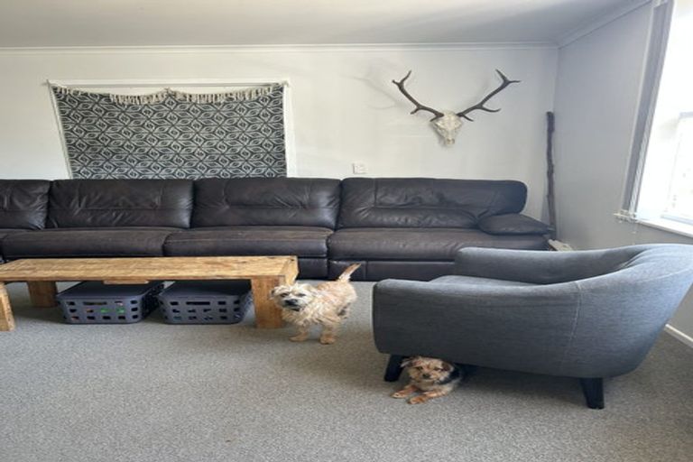 Photo of property in 59 Bedford Avenue, Gonville, Whanganui, 4501