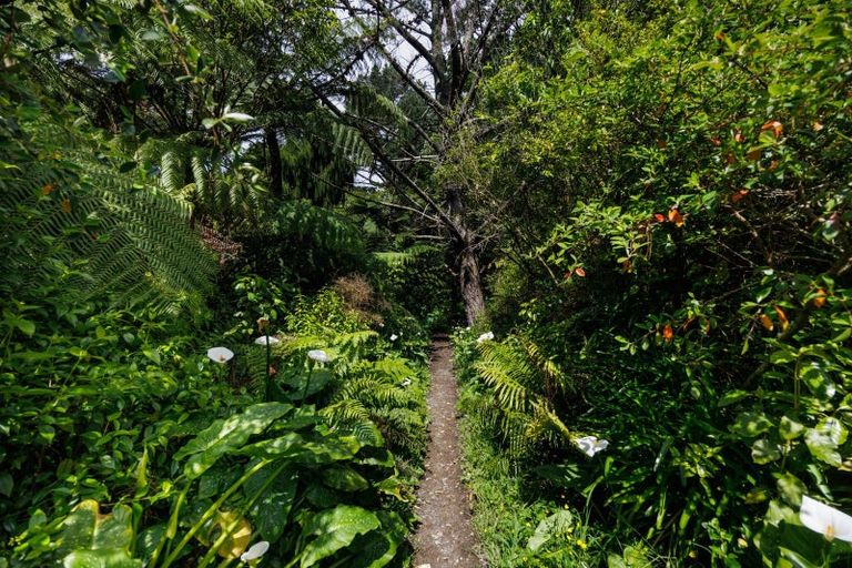 Photo of property in 431 Scotts Road, Linton, Palmerston North, 4472