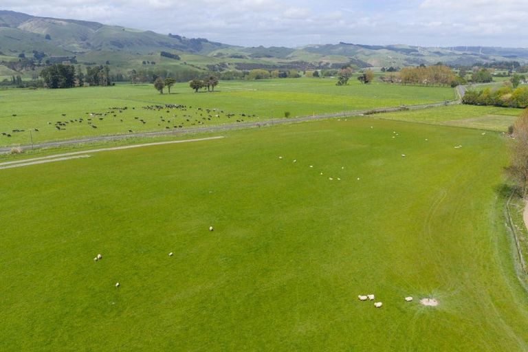 Photo of property in 643b Pohangina Road, Ashhurst, 4884