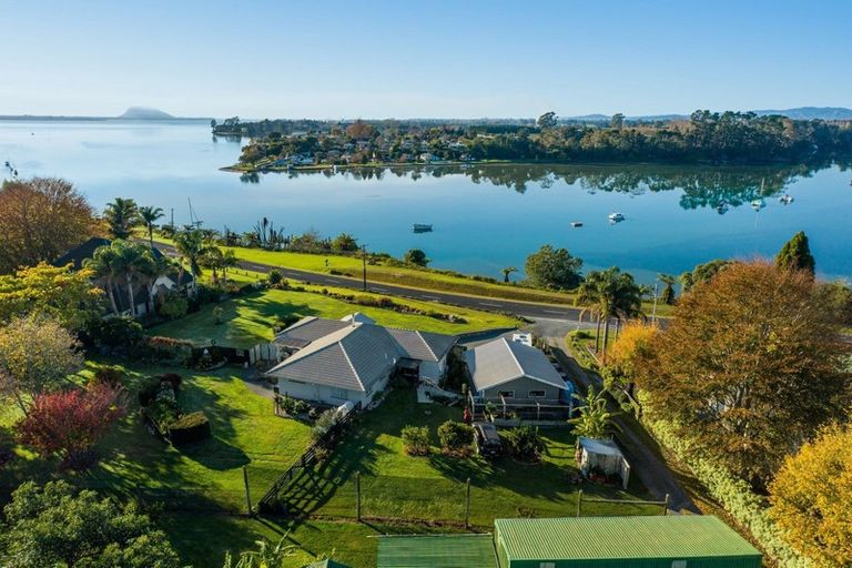 Photo of property in 293 Plummers Point Road, Whakamarama, Tauranga, 3172