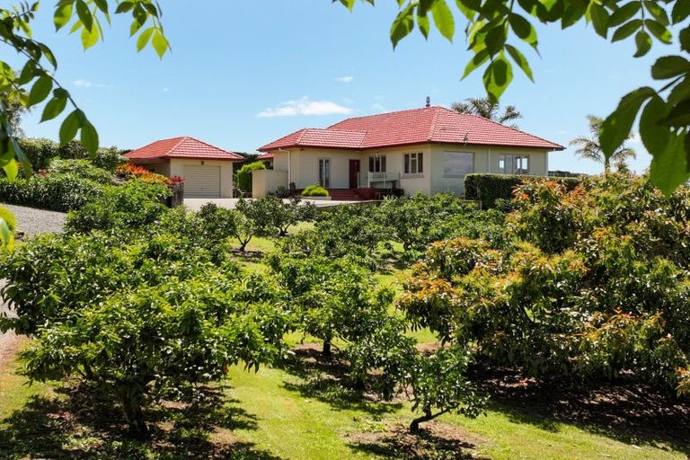 Photo of property in 11b Stokes Road, Tahawai, Katikati, 3170