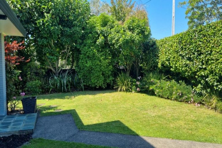 Photo of property in 27 Brookfield Terrace, Brookfield, Tauranga, 3110