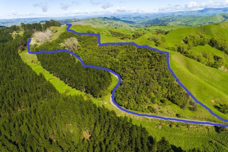 Photo of property in 1875 Kanakanaia Road, Whatatutu, Te Karaka, 4091