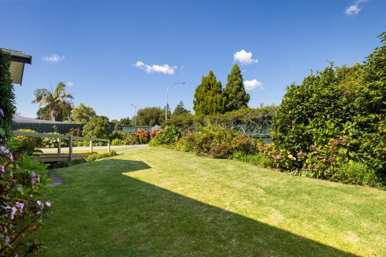 Photo of property in 1 Winiata Street, Brookfield, Tauranga, 3110