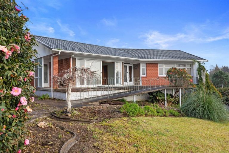 Photo of property in 20 Lloyd Street, Parkvale, Tauranga, 3112