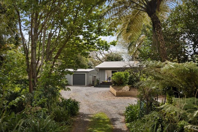 Photo of property in 25 Gilmour Street, Waihi, 3610
