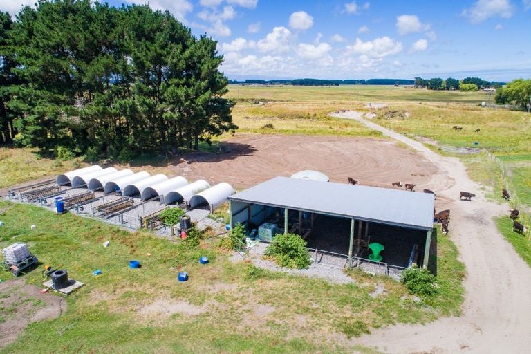 Photo of property in 76 Himatangi Beach Road, Himatangi, Foxton, 4891