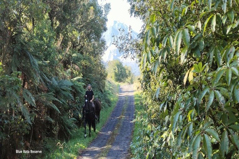 Photo of property in 3095 Carrington Road, Okato, New Plymouth, 4381