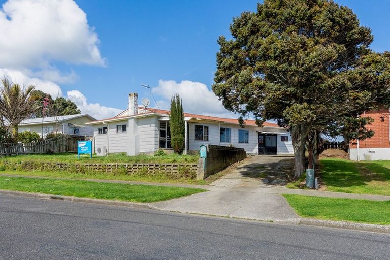 Photo of property in 20 Kinross Street, Levin, 5510