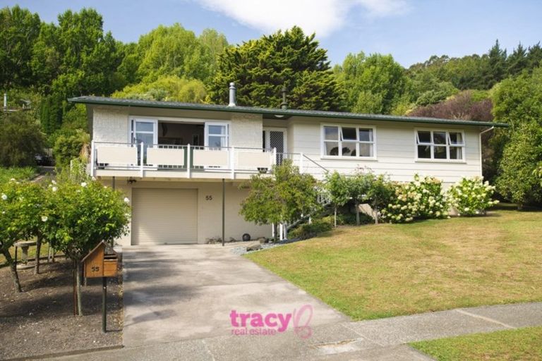 Photo of property in 55 Seddon Crescent, Whataupoko, Gisborne, 4010