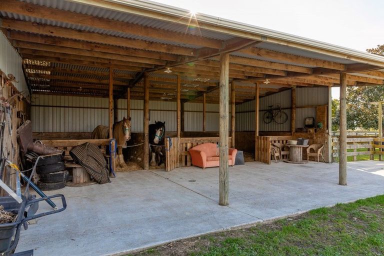 Photo of property in 97f Poplar Lane, Edgecumbe, Whakatane, 3192