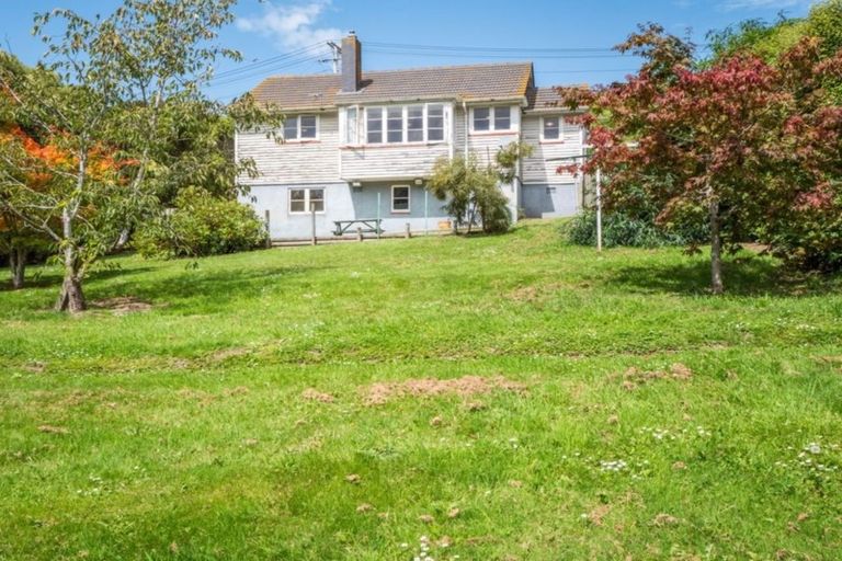 Photo of property in 22 Panmure Avenue, Calton Hill, Dunedin, 9012