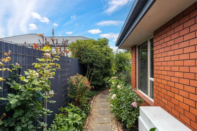 Photo of property in 12c Carvell Street, Blenheim, 7201