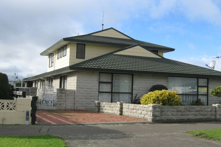 Photo of property in 223 Ruahine Street, Roslyn, Palmerston North, 4414