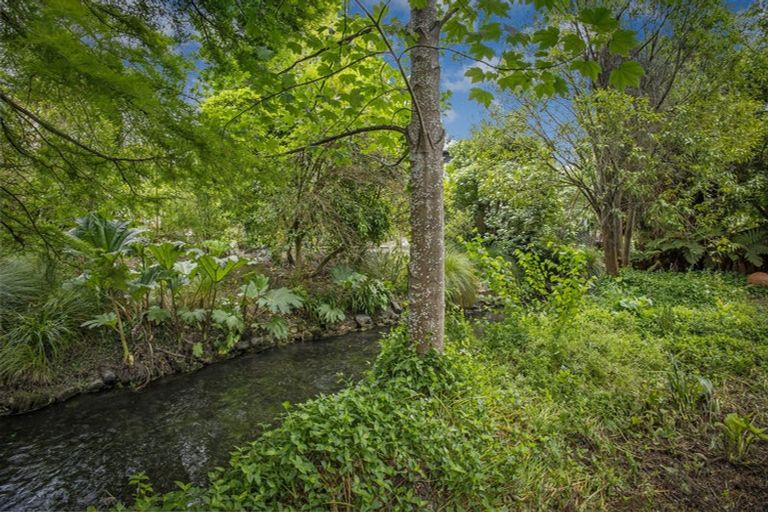 Photo of property in 1/17 Kotare Street, Fendalton, Christchurch, 8041