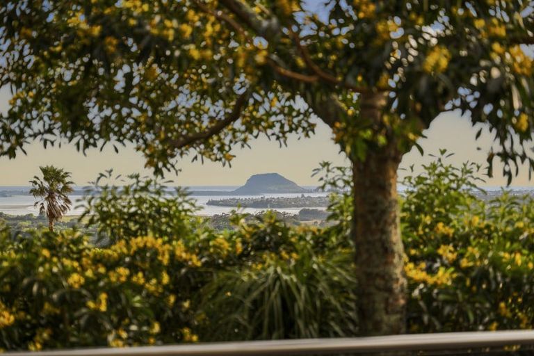 Photo of property in 20 Dawn View Place, Minden, Tauranga, 3176