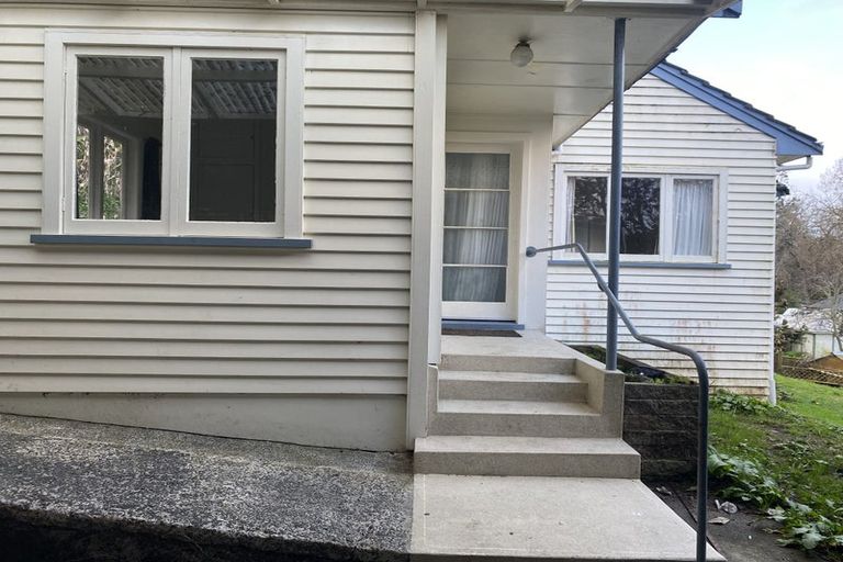 Photo of property in 20 Hillsborough Terrace, Hamilton Central, Hamilton, 3204