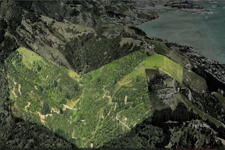 Photo of property in 117 Little Todd Valley R, Todds Valley, Nelson, 7071