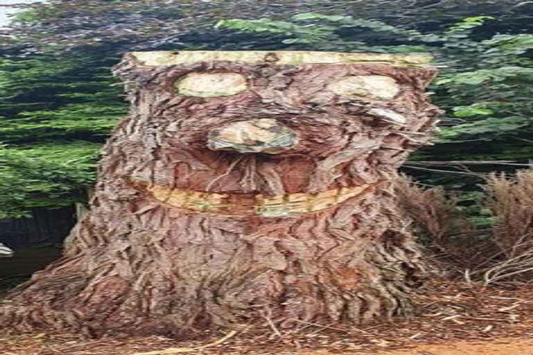 Photo of property in 42a Kenmure Road, Belleknowes, Dunedin, 9011