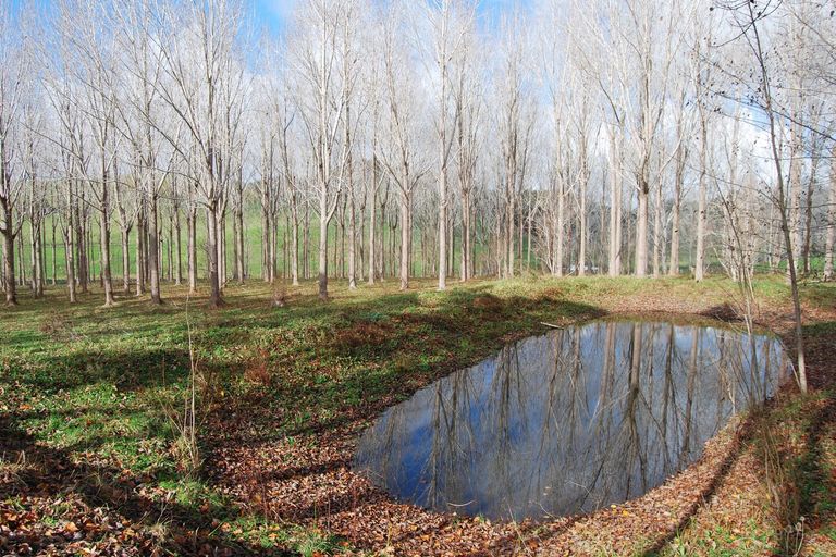 Photo of property in 542e Oneriri Road, Kaiwaka, 0573