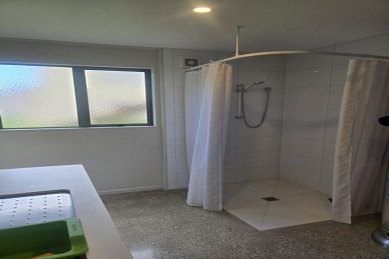 Photo of property in 340 Lawton Drive, Kawhia, 3889