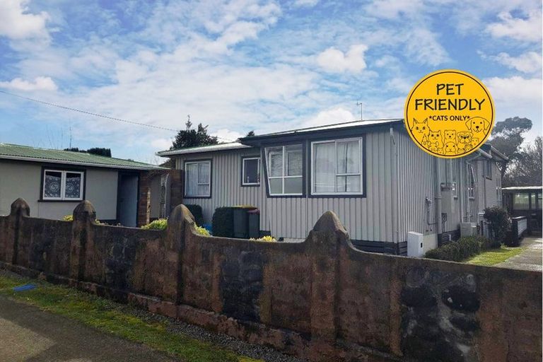 Photo of property in 60 Celia Street, Stratford, 4332