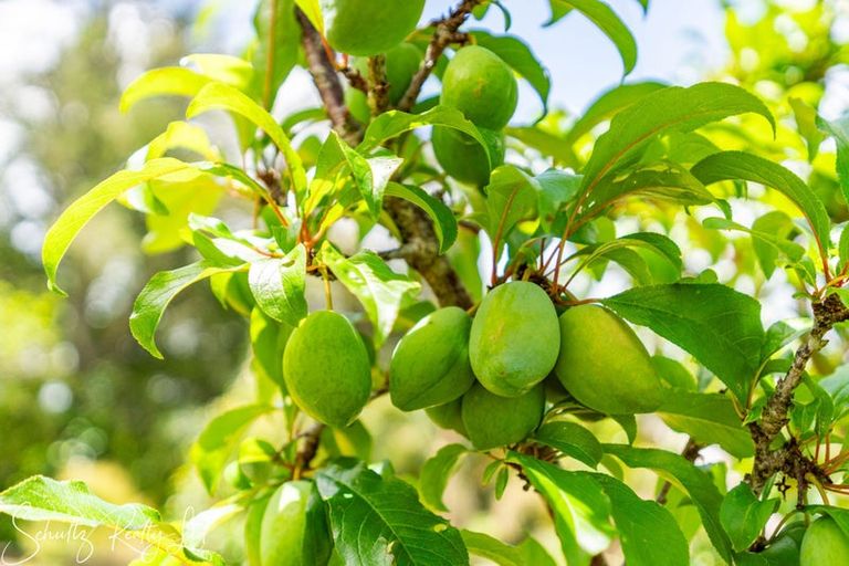 Photo of property in 43 Gorge Road, Maungaturoto, 0520