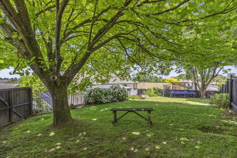 Photo of property in 87 Totara Drive, Pukete, Hamilton, 3200