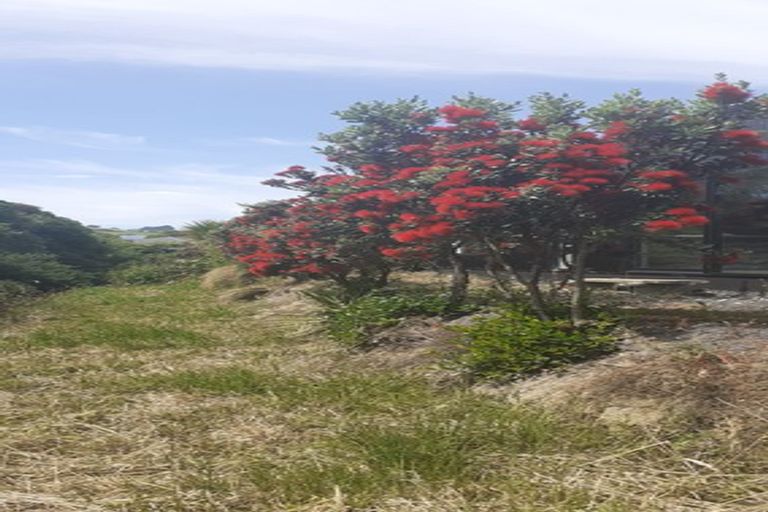 Photo of property in 44 Friendship Drive, Waldronville, Dunedin, 9018