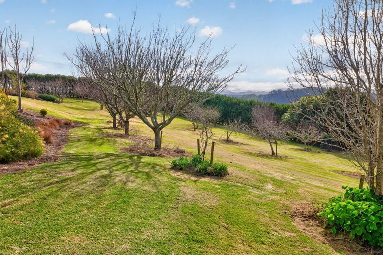 Photo of property in 157e Kaiate Falls Road, Waitao, Tauranga, 3175