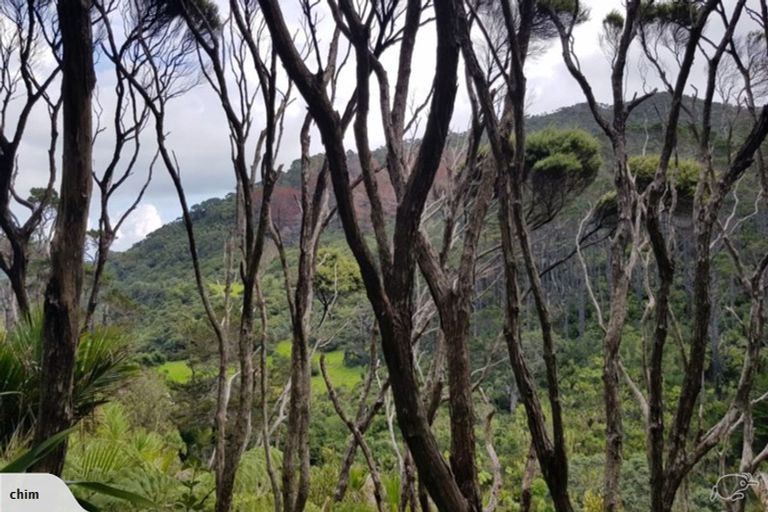 Photo of property in 77 Karekare Road, Karekare, Auckland, 0772