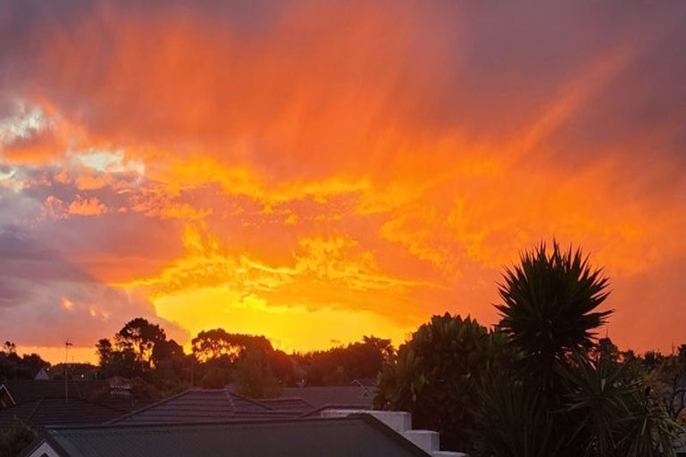 Photo of property in 6 Arundel Place, Springvale, Whanganui, 4501